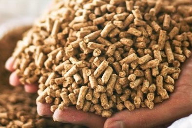 Giá thức ăn chăn nuôi sẽ còn tiếp tục tăng: Nguyên nhân vì sao?