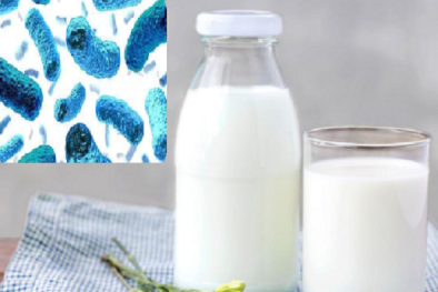 Sữa có thể bị những loại vi khuẩn nào 'tấn công' nếu bảo quản không tốt