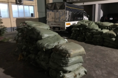 Chặn đứng hành vi vận chuyển 1.800kg nguyên liệu thuốc lá không rõ nguồn gốc