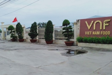 Công ty Cổ phần Việt Nam Food (VNF) đạt Giải Vàng Chất lượng Quốc gia năm 2020