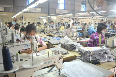 Vì sao cổ phiếu MPT của CTCP Tập đoàn Trường Tiền bị hủy niêm yết