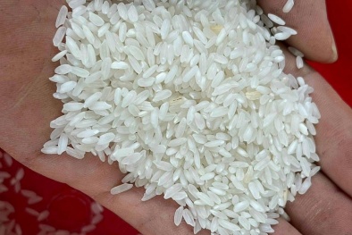 Cảnh báo nguy cơ gạo Việt Nam bị giả mạo xuất xứ