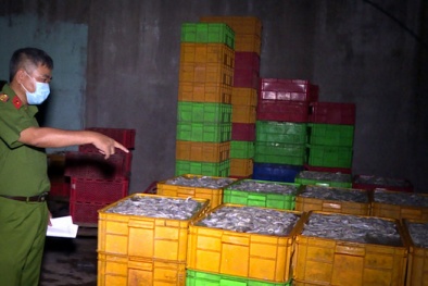 Xử lý nghiêm các trường hợp ngâm tẩm thực phẩm với hóa chất cực độc gây hại cho người dùng 