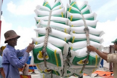 Lý do khiến Việt Nam sẽ tiếp tục là nước giữ vị trí thứ 2 thế giới về xuất khẩu gạo