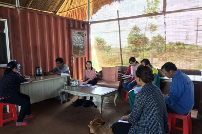 Triển khai áp dụng nông nghiệp hữu cơ theo tiêu chuẩn JAS (Nhật Bản) tại mô hình trồng trọt hữu cơ 