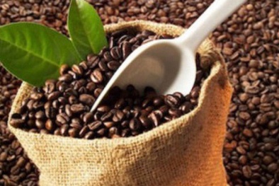 Xuất khẩu cà phê sang Indonesia tăng trưởng mạnh