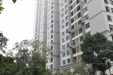 Hà Nội dừng hoạt động sân golf từ 12 giờ ngày 13/5, xem xét tạm đình chỉ chức vụ Giám đốc Hacinco