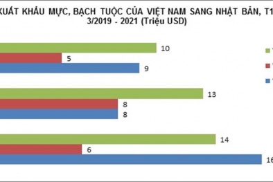 Mực, bạch tuộc Việt Nam 'nối đuôi' nhau sang Nhật Bản