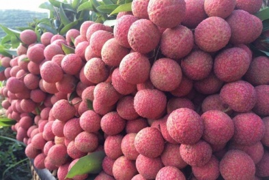  Xây dựng kịch bản tiêu thụ nông sản trong mùa dịch