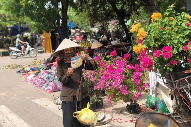 Chủ động các giải pháp phát triển người tham gia BHXH tự nguyện trong bối cảnh dịch Covid-19