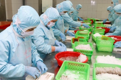 Doanh nghiệp thủy sản ngày càng tận dụng tốt cơ hội từ các FTA