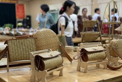 Thương mại điện tử và sự phát triển của doanh nghiệp: Cơ hội luôn nhiều hơn thách thức