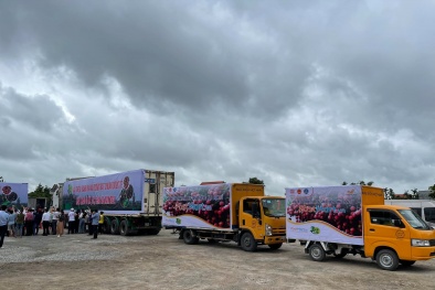 Xuất khẩu sang Nhật lô vải thiều Thanh Hà đầu tiên năm 2021 