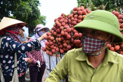 Bắc Giang đề nghị hỗ trợ tiêu thụ nông sản