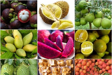 Chủ động, linh hoạt tiêu thụ nông sản giữa đại dịch Covid-19