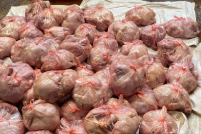 Hơn 3 tấn gà thịt đã bốc mùi hôi thối vẫn chuẩn bị bán ra thị trường