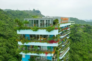 Flamingo Cat Ba, Nghệ sĩ bất động sản nghỉ dưỡng