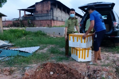 Nguy cơ từ xúc xích không nhãn mác 