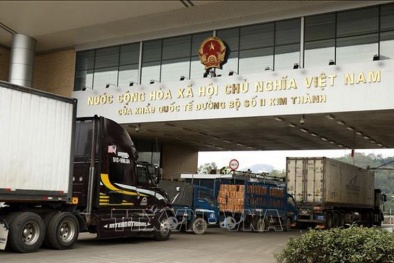 Xuất khẩu vải thiều qua cửa khẩu Kim Thành đạt 3.400 tấn