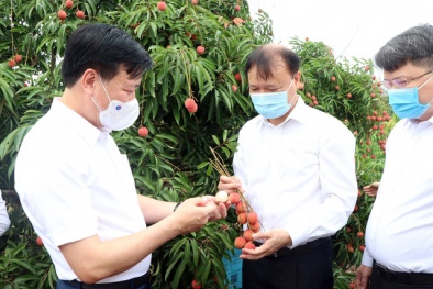 Đẩy mạnh lưu thông, tiêu thụ nông sản trong điều kiện dịch bệnh Covid-19