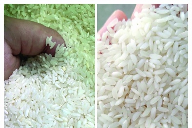 Gạo Ấn Độ được 'mông má' để giả một số loại gạo của Việt Nam
