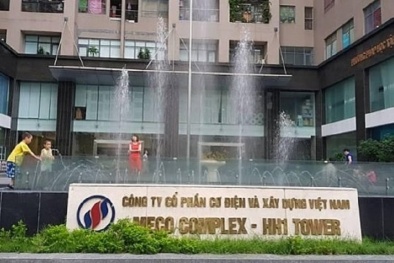 Vì sao Công ty Cổ phần Cơ điện và Xây dựng Việt Nam bị phạt tiền 200 triệu đồng?