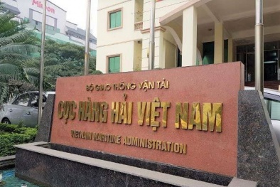 Đưa nhãn hiệu hàng hóa vào hồ sơ mời thầu, Cục Hàng hải có đang 'ưu ái' cho nhà thầu?