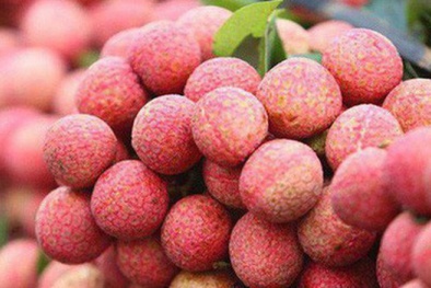 Lạng Sơn: Tạo điều kiện thuận lợi nhất cho xuất khẩu vải tươi