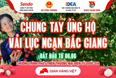 'Gian hàng Việt trực tuyến Quốc gia' cùng 6 sàn TMĐT chung tay tiêu thụ vải thiều Bắc Giang