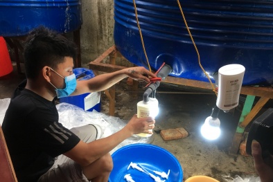 Phát hiện cơ sở chuyên sản xuất dầu gội đầu, sữa tắm, nước giặt giả