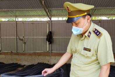 Giá thép tăng cao, cảnh báo tình trạng vi phạm trong kinh doanh