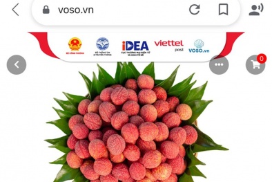 Các sàn thương mại điện tử lớn đồng loạt mở bán vải thiều Bắc Giang