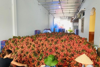 5 điểm mua nông sản Việt xuất xứ rõ ràng, có xác nhận an toàn với COVID-19 tại Hà Nội