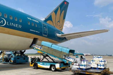 Lần đầu tiên vải thiều 'ngồi' khoang hành khách siêu máy bay đi tiêu thụ