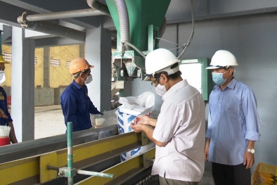 Nâng cao chất lượng sản phẩm phân bón, hướng đến phát triển bền vững