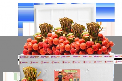 Vietjet chung tay đưa vải thiều Việt Nam xuất ngoại