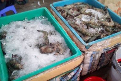 Bắt vụ vận chuyển hơn 12 tấn tôm chứa tạp chất