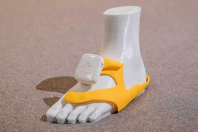 Phát triển thiết bị định vị dẫn đường trên giày cho người khiếm thị