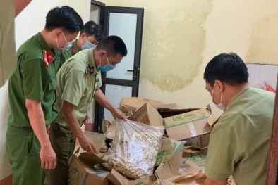 Nhập lậu 1200kg chân gà và những nguy cơ nếu không may ăn phải