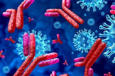 Thuốc kháng thể giúp giảm nguy cơ tử vong ở bệnh nhân mắc Covid-19 ốm yếu nhất