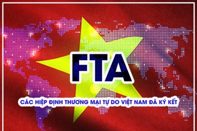 Việt Nam thực thi hiệu quả các FTA, thúc đẩy tăng trưởng kinh tế bền vững