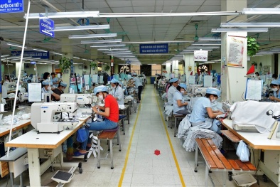 Dự báo tăng trưởng kinh tế dần phục hồi những tháng cuối năm