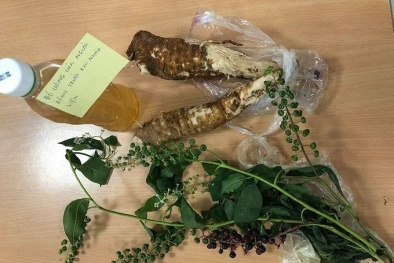 Uống rượu ngâm củ thương lục khiến 5 người bị ngộ độc