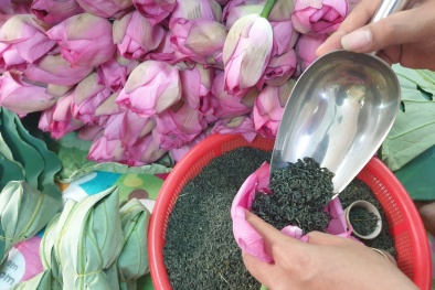 Nhờ công nghệ ướp đặc biệt, trà sen Việt vươn ra thế giới
