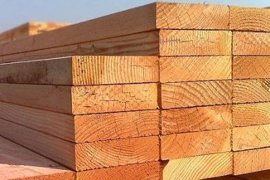 Quy định quản lý nhập khẩu và xử lý sản phẩm gỗ nhập khẩu