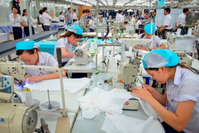 Thừa Thiên Huế ban hành kế hoạch hỗ trợ doanh nghiệp nâng cao năng suất chất lượng