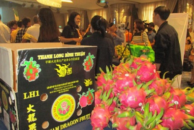 Xuất khẩu rau quả sang Trung Quốc giữ vững đà tăng trưởng tích cực