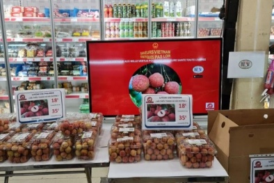 Hành trình vải thiều Việt Nam chinh phục thị trường EU 