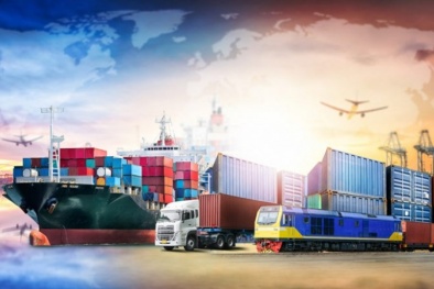 Thương mại điện tử xuyên biên giới mở ra cơ hội cho xuất khẩu hàng hóa