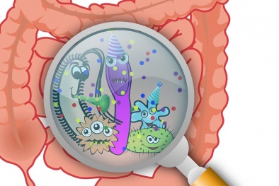 Vi khuẩn đường ruột có thể làm tăng nguy cơ đột quỵ, giảm chức năng sau đột quỵ